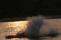 Water Ski 29-04-08 - 74